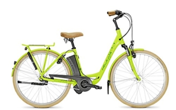 E-Bike Raleigh DOVER IMPULSE 7R HS 7G 26' 11Ah 36V green - Rücktrittbremse -
