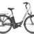 E-Bike Raleigh DOVER IMPULSE 7R HS Wave 11Ah in grey matt/silver matt, Rahmenhöhe:46 -