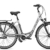 E-Bike Raleigh DOVER IMPULSE 8R XXL Wave 17AH in scotch/grey, Rahmenhöhe:46 -