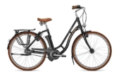 E-Bike Raleigh DOVER IMPULSE R CLASSIC CLUB 28' 8G 11Ah/36V/250W Tourensport in black, Rahmenhöhen:46;Farben:Magicblack -