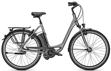 E-Bike Raleigh DOVER IMPULSE R XXL Wave 8-G Rücktritt 17Ah bis 170 kg zugel., Rahmenhöhen:XS46;Farben:Torontogrey -