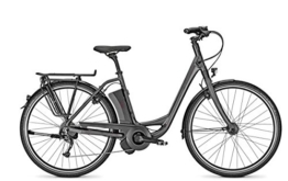 E-Bike Raleigh LEEDS IMPULSE 9 HS Wave 11,6AH in black matt, Rahmenhöhe:50 -