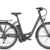 E-Bike Raleigh LEEDS IMPULSE 9 HS Wave 11,6AH in black matt, Rahmenhöhe:50 -