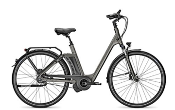 E-Bike Raleigh Newgate R Premium 28' 8-Gang 36V/17AH in greym, Rahmenhöhen:45;Farben:Carbonitegrey matt -
