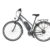 Fischer Damen E-Bike Trekking 24-Gang Proline ETD 1606, 28 Zoll, 19183 - 