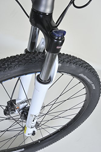 Fischer Herren E-bike MTB Proline Evo - Shimano 24 Gang Deore, Matt Grau, 27.5, 19029 - 