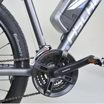 Fischer Herren E-bike MTB Proline Evo - Shimano 24 Gang Deore, Matt Grau, 27.5, 19029 - 