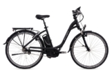 Flyer B8.1 Test E-Bike